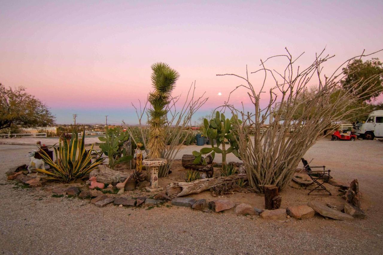 Joshua Tree Ranch House Motel Bagian luar foto